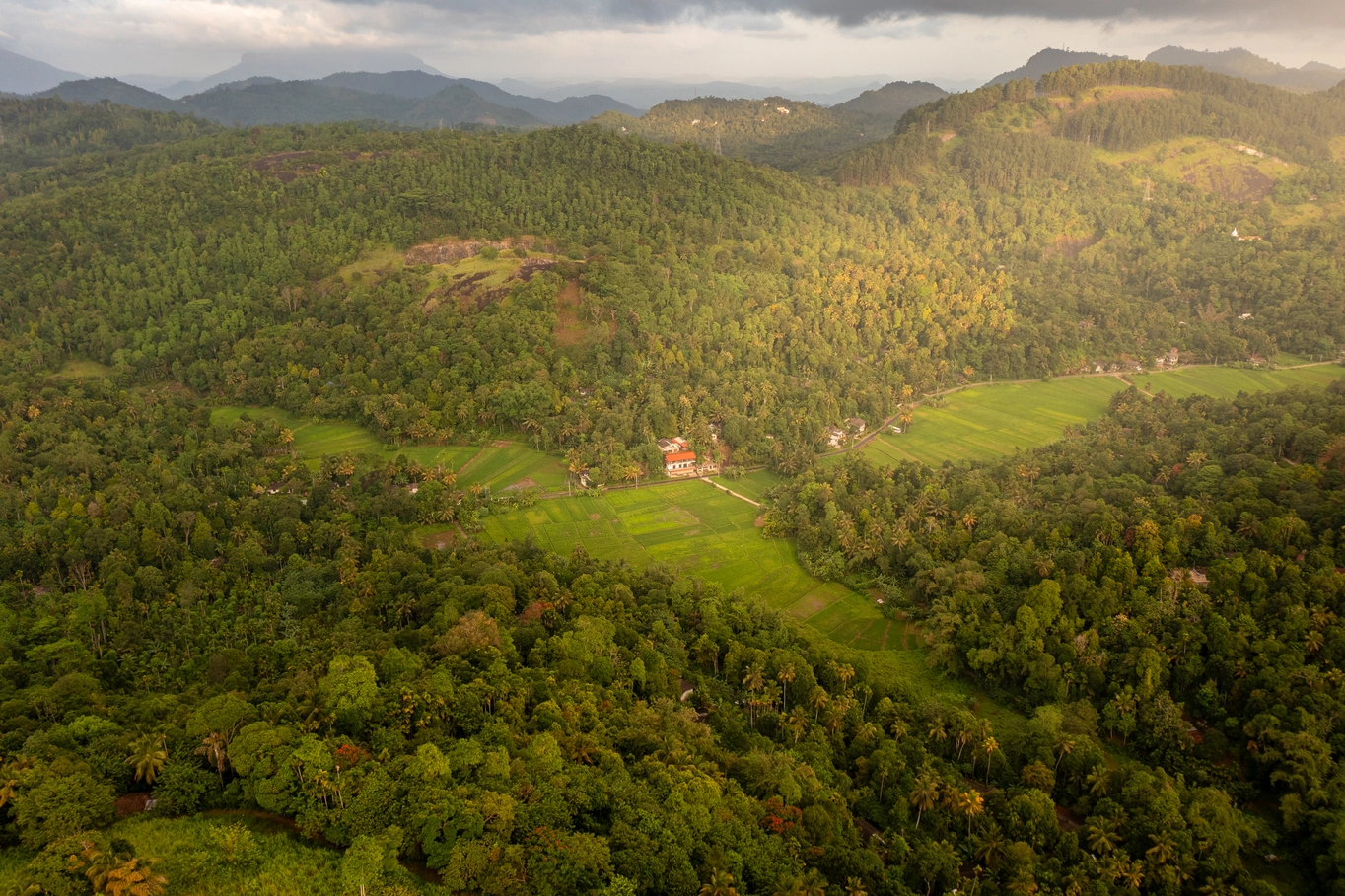 Spice garden and hills
