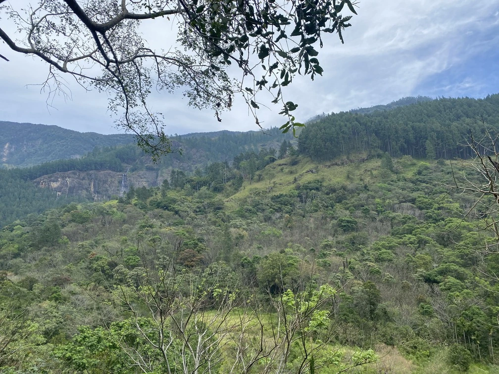 Garden paths with distant mountain views